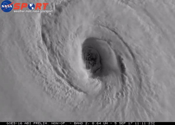 The eye of Cat. 5 Hurricane Irma - @NASA